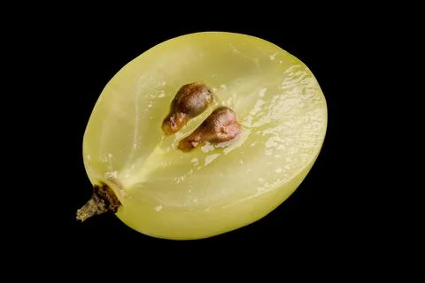 Green grape cut in half showing seeds Stockfoto's