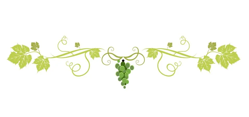 Green grape divider Illustrazione stock