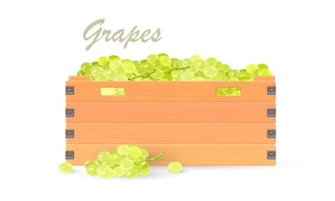 Green grape harvest in container Stock Illustration