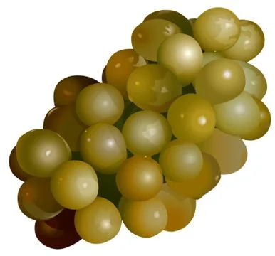 Green Grape 스톡 일러스트