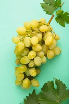 Green grape with leaves on mint background. Top view Stock Photos