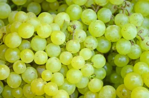 Green grape Stock Photos