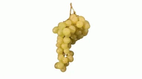 GREEN GRAPE ROTATING FRUIT SEAMLESS LOOP Stockbeeldmateriaal 14659550