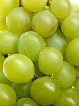Green grapefruit Stock Photos