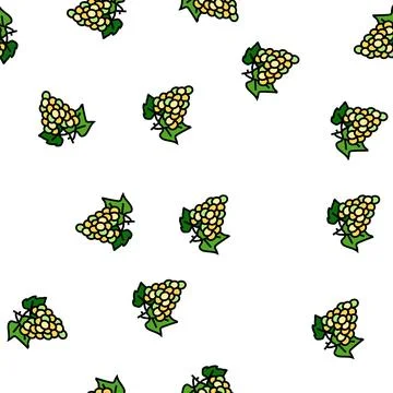 Green grapes bunch vector seamless pattern Stock Illustration