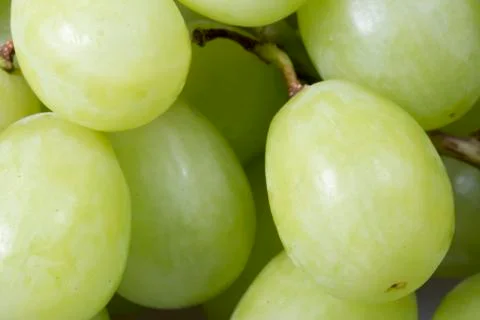 Green Grapes Close Up Foto stock