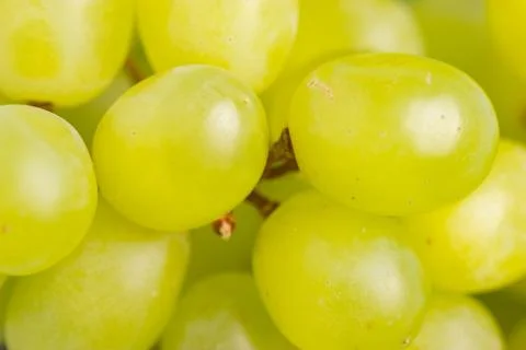 Green grapes close up Stock Photos