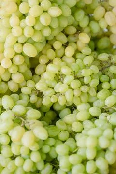 Green grapes close up Stock Photos