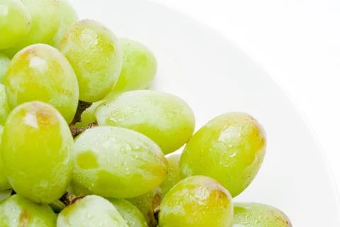 Green grapes with dew 스톡 사진