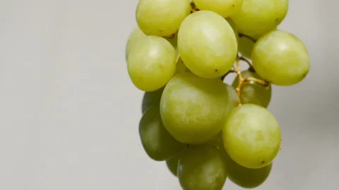 Green Grapes Dry Stock-Footage 148583752