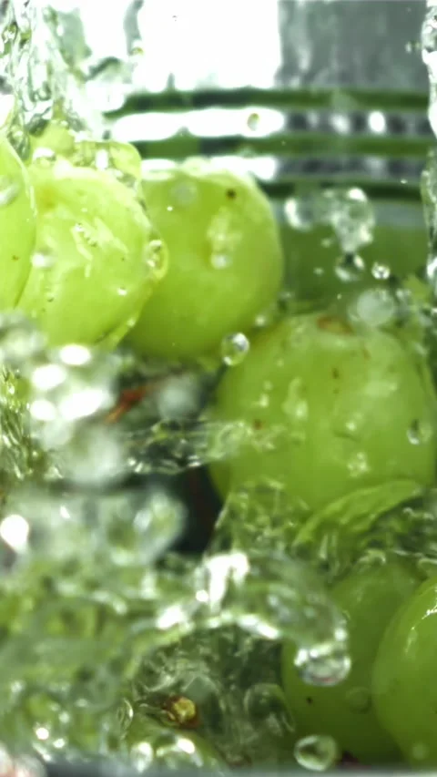 Green grapes fall into a bucket of water. Filmed on a high-speed camera at 1000 Stock Footage 335315205