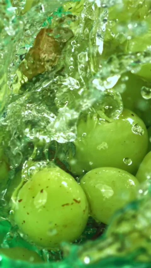 Green grapes fall with splashes into the water. Top view. Filmed on a high-speed Stock Footage 335318018