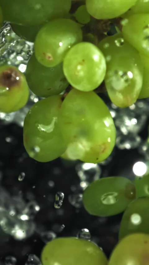 Green grapes fly up and fall down. Filmed on a high-speed camera at 1000 fps Stock Footage 335371154