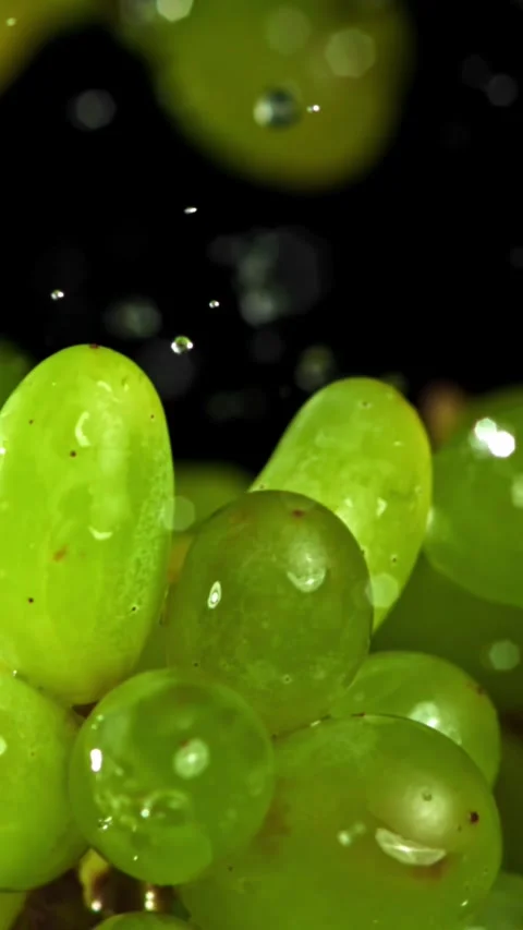 Green grapes fly up and fall down. Filmed on a high-speed camera at 1000 fps Stock Footage 335373763