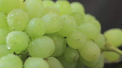 Green grapes Stock Footage 38418735