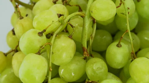 Green Grapes Stock Footage 169734242