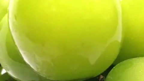 Green grapes Stock Footage 281503672