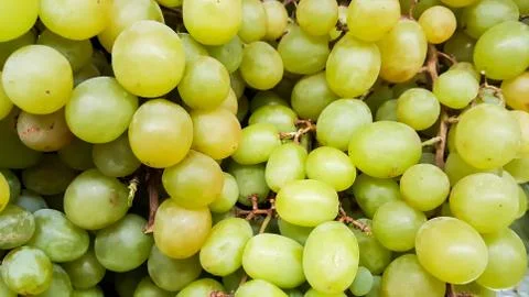 Green Grapes - Fruit 스톡 사진