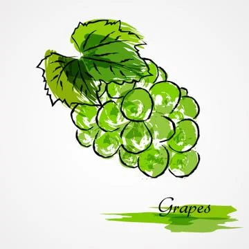Green grapes Stock Illustration