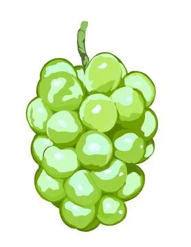 Green grapes Stock Illustration