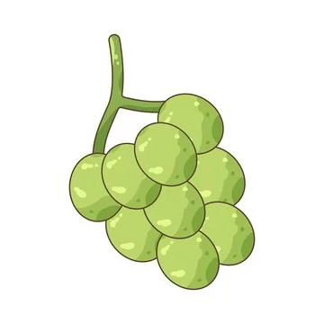 Green grapes Stock Illustration