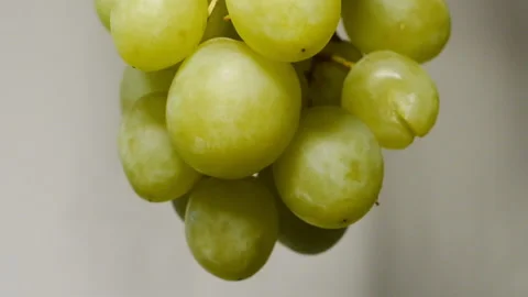 Green Grapes Light And Shadow Video stock 148587410