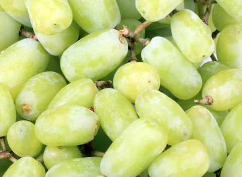 Green grapes Stock Photos