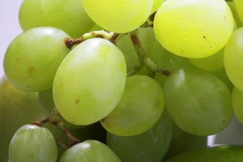 Green grapes Stock Photos