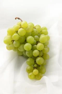 Green grapes Stock Photos