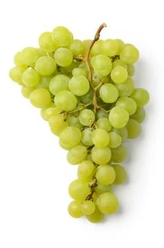 Green grapes Stock Photos
