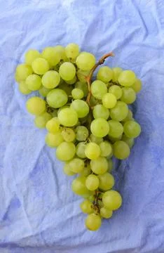 Green grapes Stock Photos