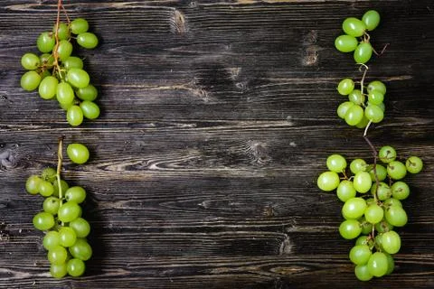 Green grapes Stock Photos
