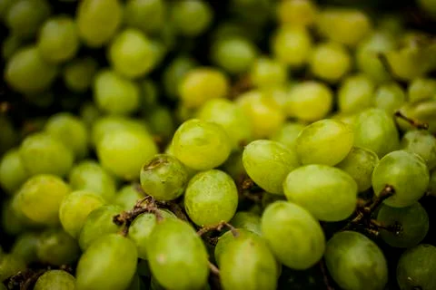 Green grapes Stock Photos