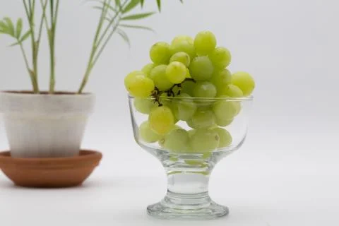 Green grapes Stock Photos
