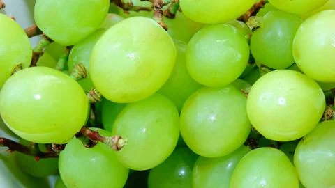Green grapes. Stock Photos