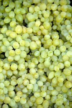 Green grapes Foto stock