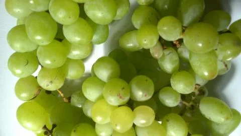 Green Grapes Stock Photos