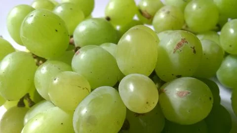 Green Grapes Stock Photos