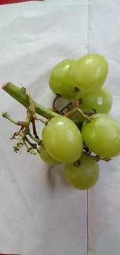 Green Grapes Stock-Fotos