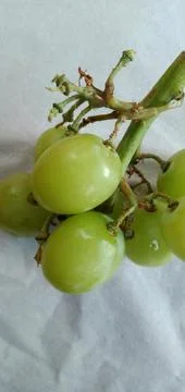 Green Grapes Foto stock