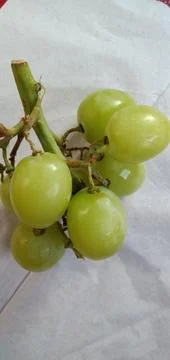 Green Grapes Stock Photos