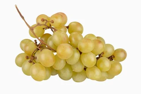 Green grapes Stock Photos