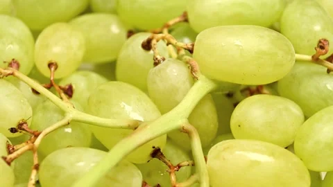 Green grapes rotating Stock Footage 285546431
