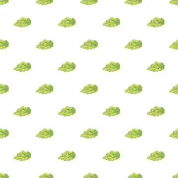 Green grapes seamless pattern for healthy fruit background Illustrazione stock