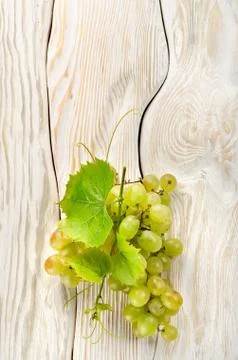 Green grapes on the table Stock Photos