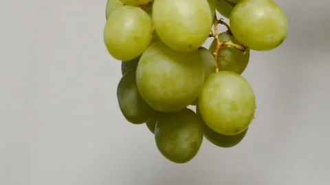 Green Grapes Tilt Up Stock Footage 148587536