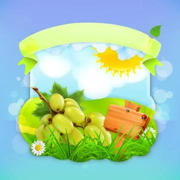 Green grapes, vector label design Stock Illustration