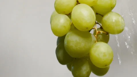 Green Grapes Washing Stock Footage 148586001