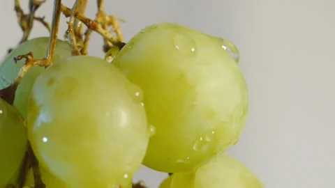 Green Grapes Wet Close Up Video stock 148587710