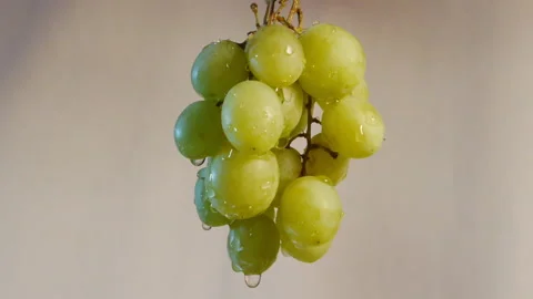 Green Grapes Wet Stock-Footage 148586544